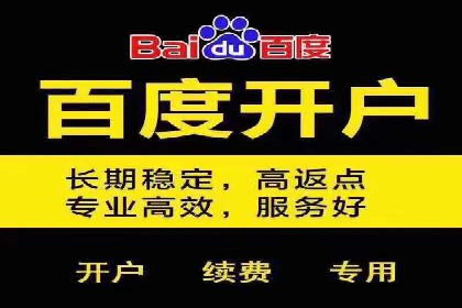 SEM搜索引擎优化案例：如何提升网站流量和转化率